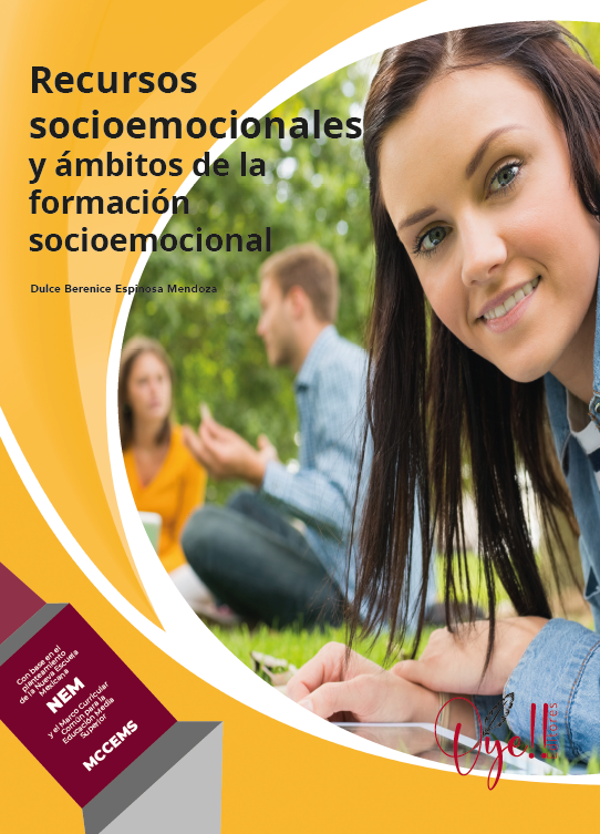 Recursos socioemocionales y ámbitos de la formación socioemocional